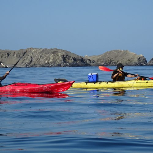 Kayak Antofagasta Norte de Chile 9